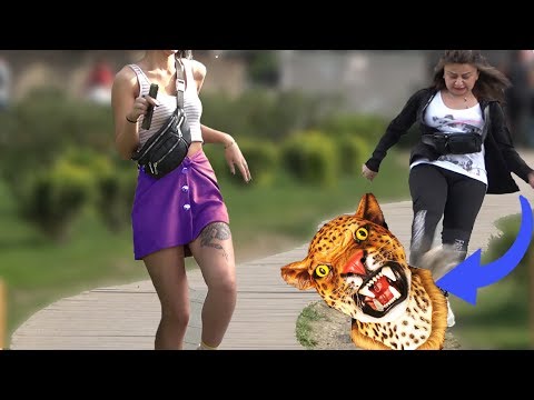 LEOPARD PRANK  2019 - AWESOME REACTIONS - Best of Just For Laughs