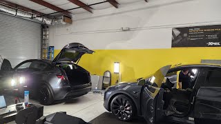 Tesla Model Y Windows Tinted in Winter Garden, Winter Park, Longwood, and The Villages, FL with Xpel