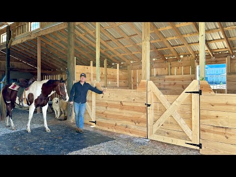Building a horse stall in my pole barn!