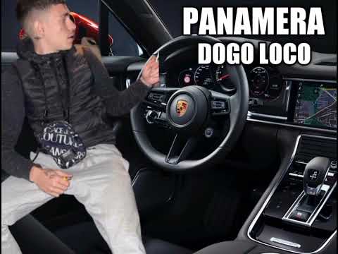 DOGO LOCO PANAMERA (katharos hxos)