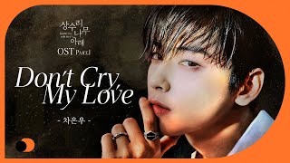 Download Lagu Dont Cry My Love Cha Eun Woo MP3 dan Video MP4 Gratis