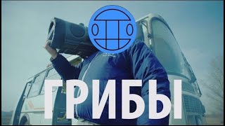 Клип Грибы - Тает Лёд - Видео онлайн