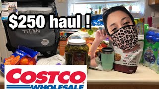NEW $250 COSTCO HAUL 2020 | WHAT IS NEW AT COSTCO