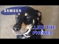 Samson Phones