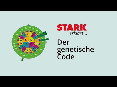The Genetic Code | STARK explains