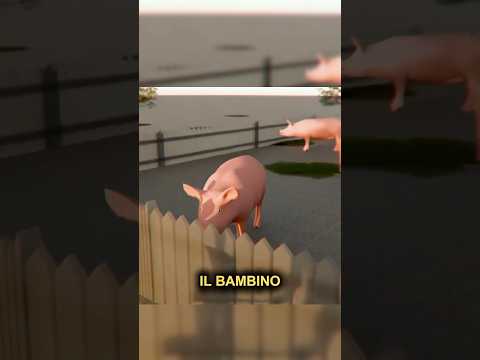 Il maiale si era innamorato? 🤔
