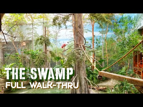 Zoo Tours: The Brookfield's Zoo Historic Swamp Building | Full Walkthrough
