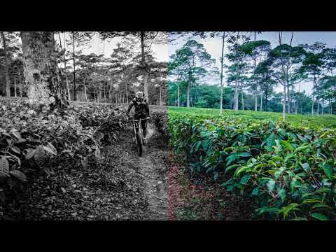 Trek Sindoro Sumbing All Mountain