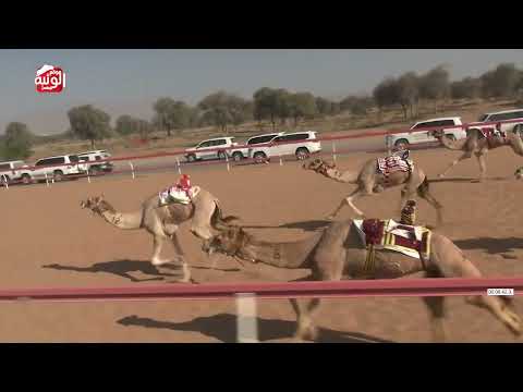  ش 9 (ثمين) لـ خليفه نايع مصبح النعيمي 12:57 ، شارة الديوان 2026/2/21 ثنايا السوان