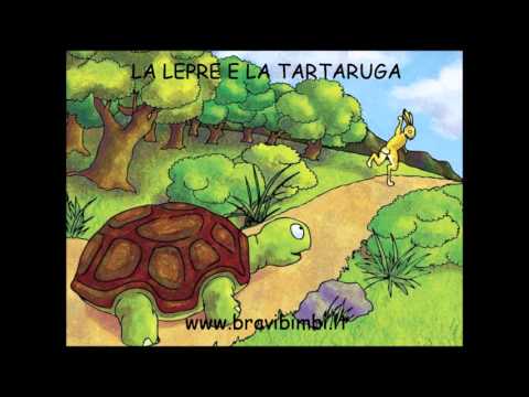 Come cancellare posti di pigmentary su una faccia Lolio di mandorla da pigmentary nota su risposte di faccia