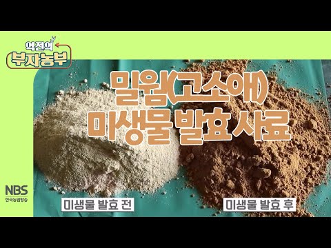 , title : '[역전의부자농부 244회] 밀웜(고소애) 미생물 발효 사료'