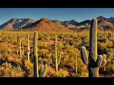 10 Best Tourist Attractions in Arizona Must Be Visited