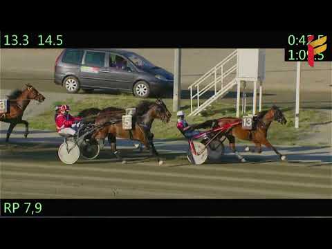 VII Corsa del 18 Maggio 2022 - 5 Anni ed oltre - Metri 1600 - TQQ