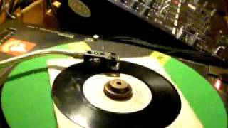 natty sings a hits songs-dellinger