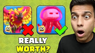 is angry jelly BETTER than other PET?