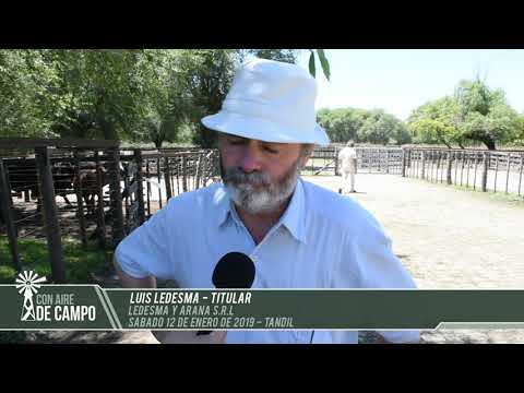 Luis Ledesma - Ledesma y Arana SRL - Sábado 12 de enero de 2019 - Tandil