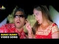 Bunny Songs Bunny Bunny Video Song Allu Arjun Gouri Mumjal Sri Balaji Video