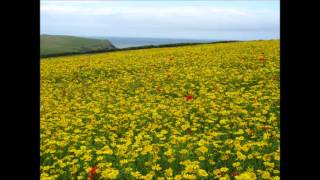 Cornwall, beautiful Headland's