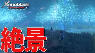ゲーム史上最も美しい景色はここです【ゼノブレイド Definitive Edition】#10