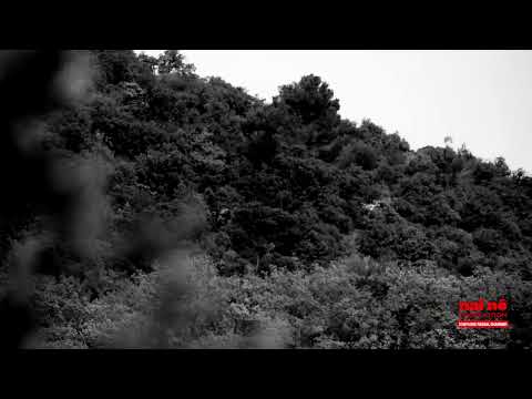 Live session at Vélo Théâtre, 2025