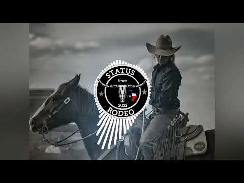 SELEÇÃO MODÃO SERTANEJO: "5 MODAS BRUTAS" (STATUS RODEO) 🌾🤠