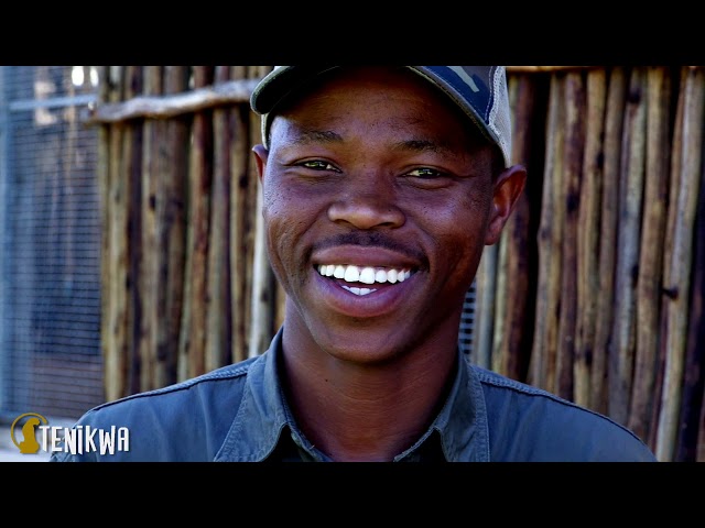 Tenikwa overview 2019