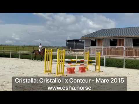 Cristalla: CRISTALLO I x CONTEUR