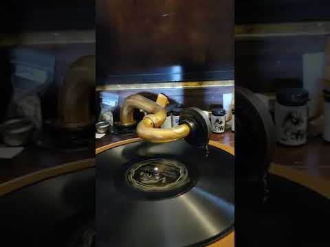 That's My Mammy - Henry Thies & his Hotel Sinton Orchestra Victor Records #21462 1928