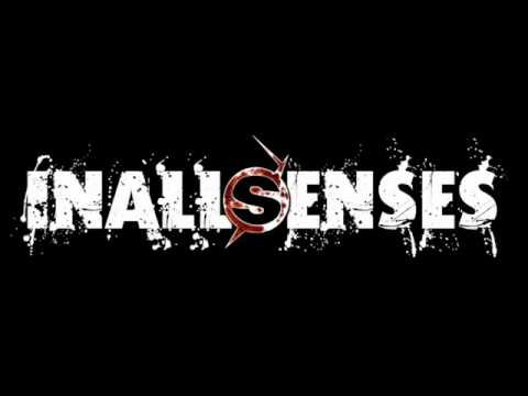 In All Senses - The Experience