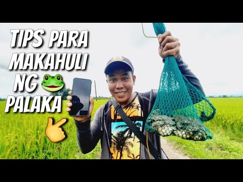 TIPS PARA MAKAHULI NG MARAMING PALAKA | PALAKANG BUKID