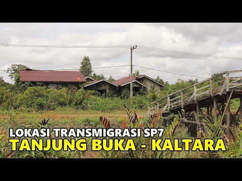 TRANSMIGRATION COMMUNITY SETTLEMENT, SETTLEMENT UNIT 7, TANJUNG BUKA, BULUNGAN, NORTH KALIMANTAN