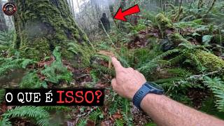 5 Registros ASSUSTADORES e Reais na Florestas Selvagem Capturados em Vídeo!