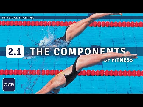 OCR GCSE PE - COMPONENTS of FITNESS | FITNESS TESTING -  Physical Training (2.1)