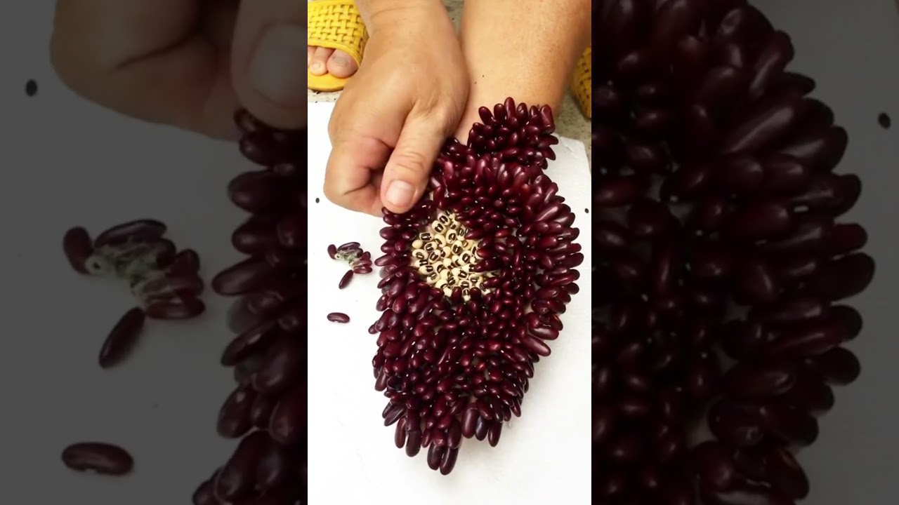 Dog tick stuck to red bean