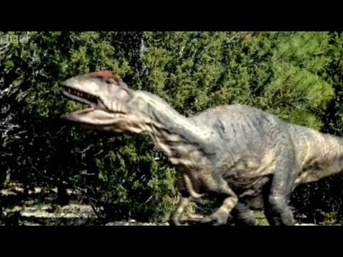Big Al's Mating Call | Walking With Dinosaurs | BBC