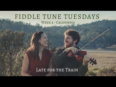 Fiddle Tune Tuesdays:  Week 4 - Salt Spring by John Reischman