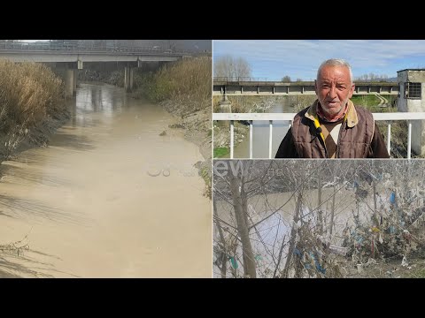 Ishmi si vendgrumbullim plehrash/ Ndotja e lumit, alarmante Banorët: Askush nuk ndërhyn!