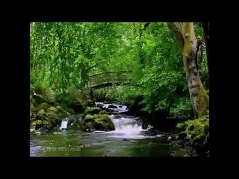 Manjusha Gore Live Stream