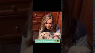 Anniversary Wishes | Married Biography | Katie Pavlich and Gavy Friedson #marriedbiography