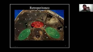 Retroperitoneo - Anatomía