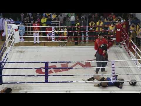 Международные соревнования "Ip Man Cup 2012" ( 2-й ролик )
