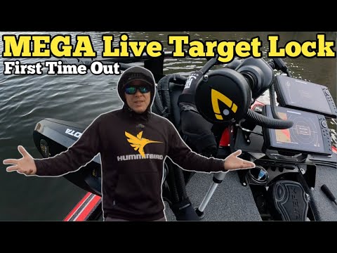 Mega Live Target Lock (Review)