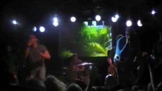 MC Lars ft. Steve O'Gallagher - "Download This Song"