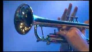 belle &amp; sebastian - sukie in the graveyard - lowlands 2006