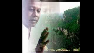 Heitor Villa-Lobos & Wayne Shorter