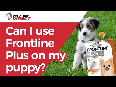 Can I use Frontline Plus on my puppy?