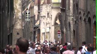 preview picture of video 'Holiday in Italy Florence, Roma. Palermo, Pisa, Vatican Verona 45 min'