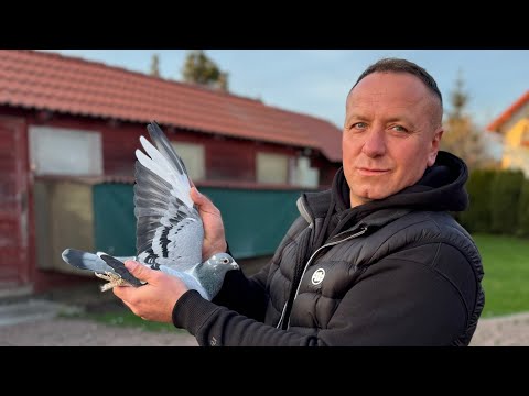 Łukasz & Kamil Witek - PZHGP 0458 Staszów / Mistrz Polski 2025 "Kat.C" 