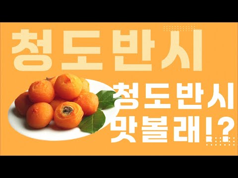 청도의 가을을 담은 달콤한 명품 반시 ㅣ 청도 반시 홍보 영상