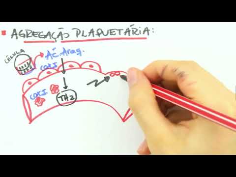 EICOSANOIDS AND PROSTAGLANDINS